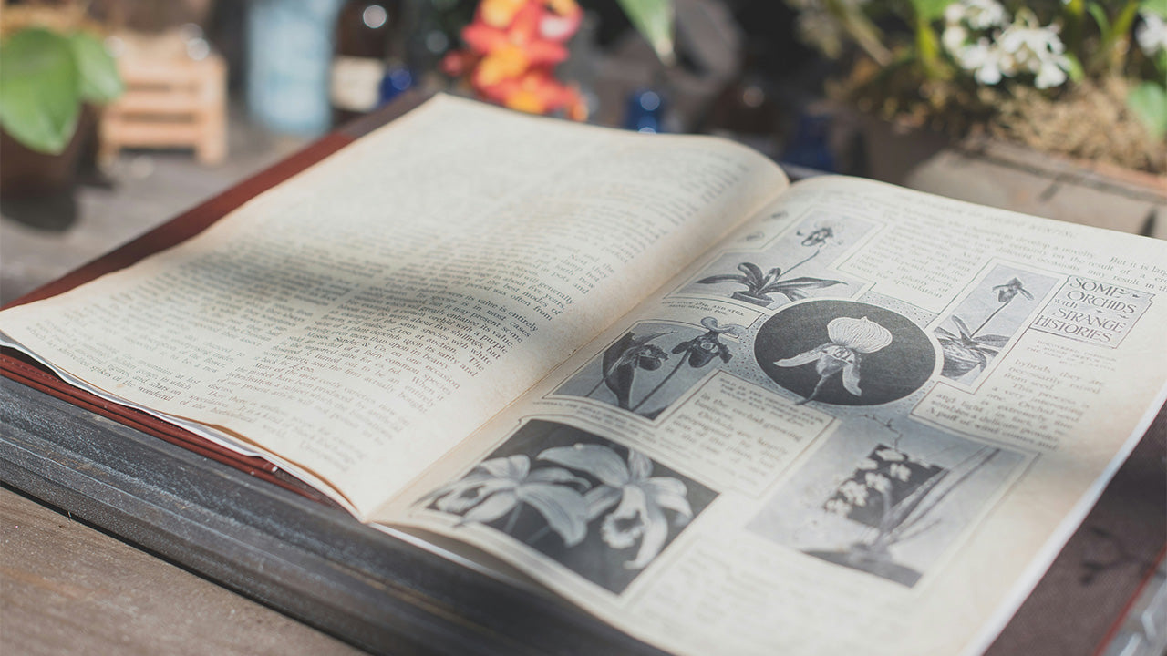 23 Christian Herbalist Books for Home Healers