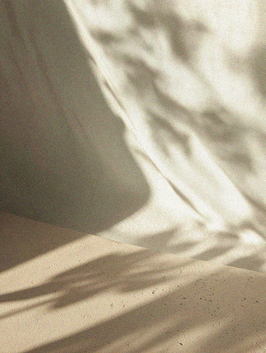 Divine Will Bootcamp