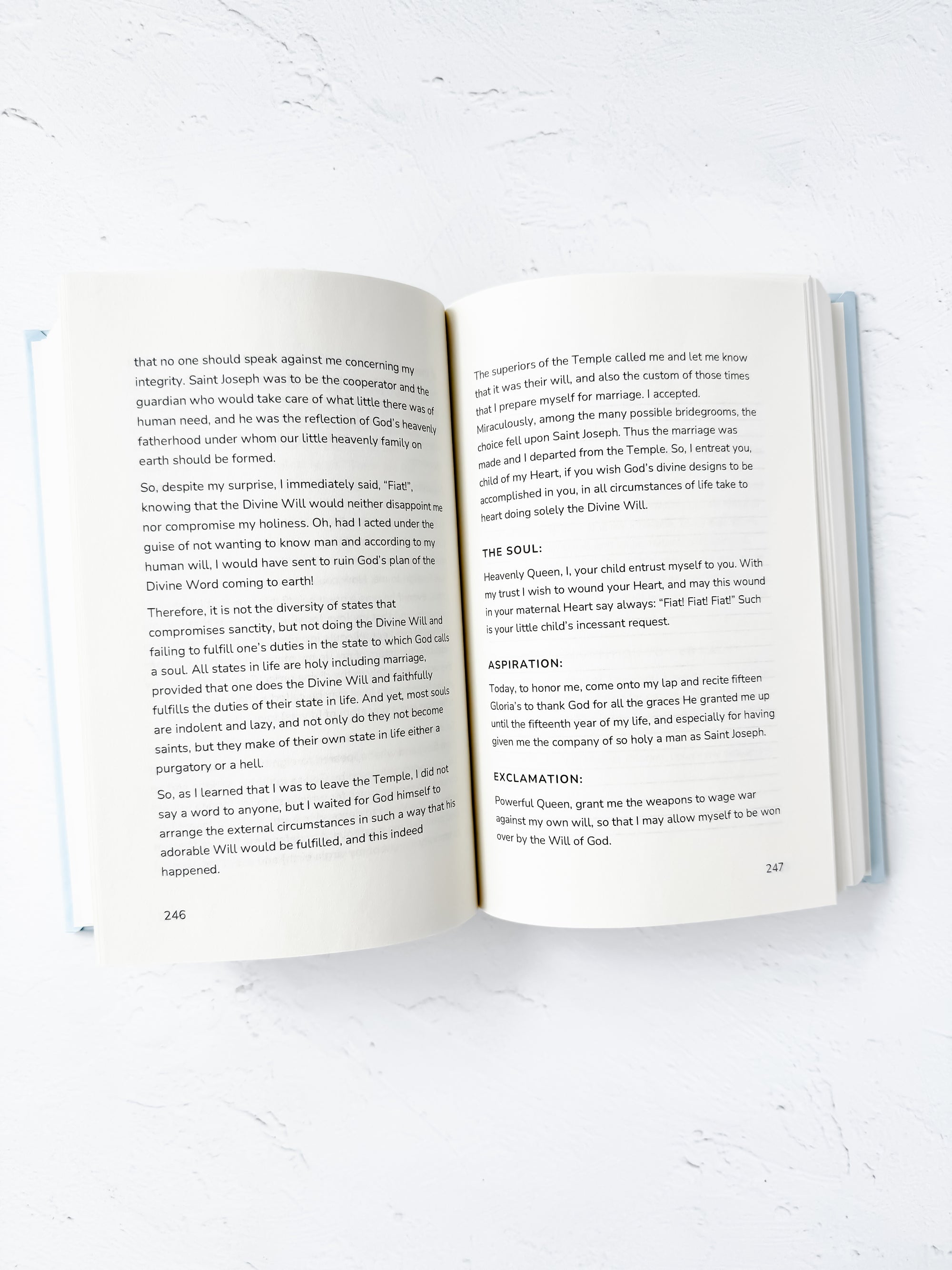 Divine Will Bootcamp: Book 1