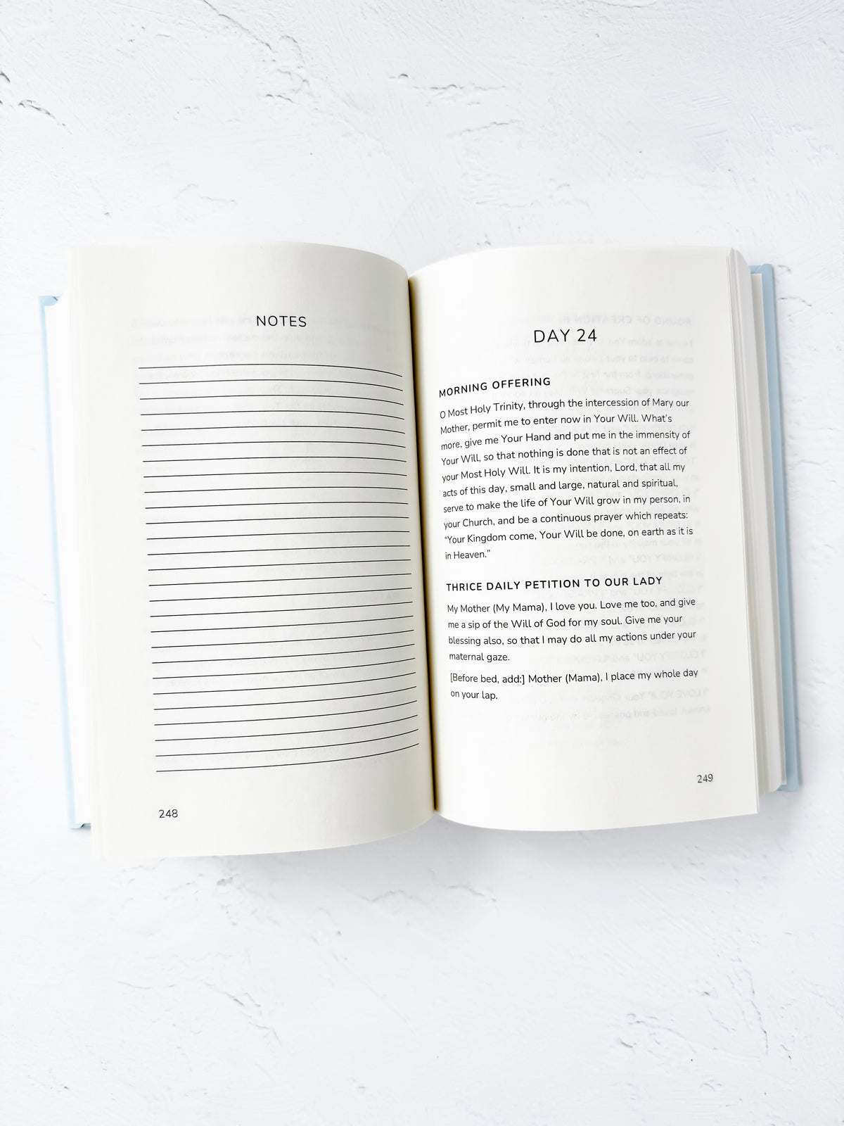 Divine Will Bootcamp: Book 1