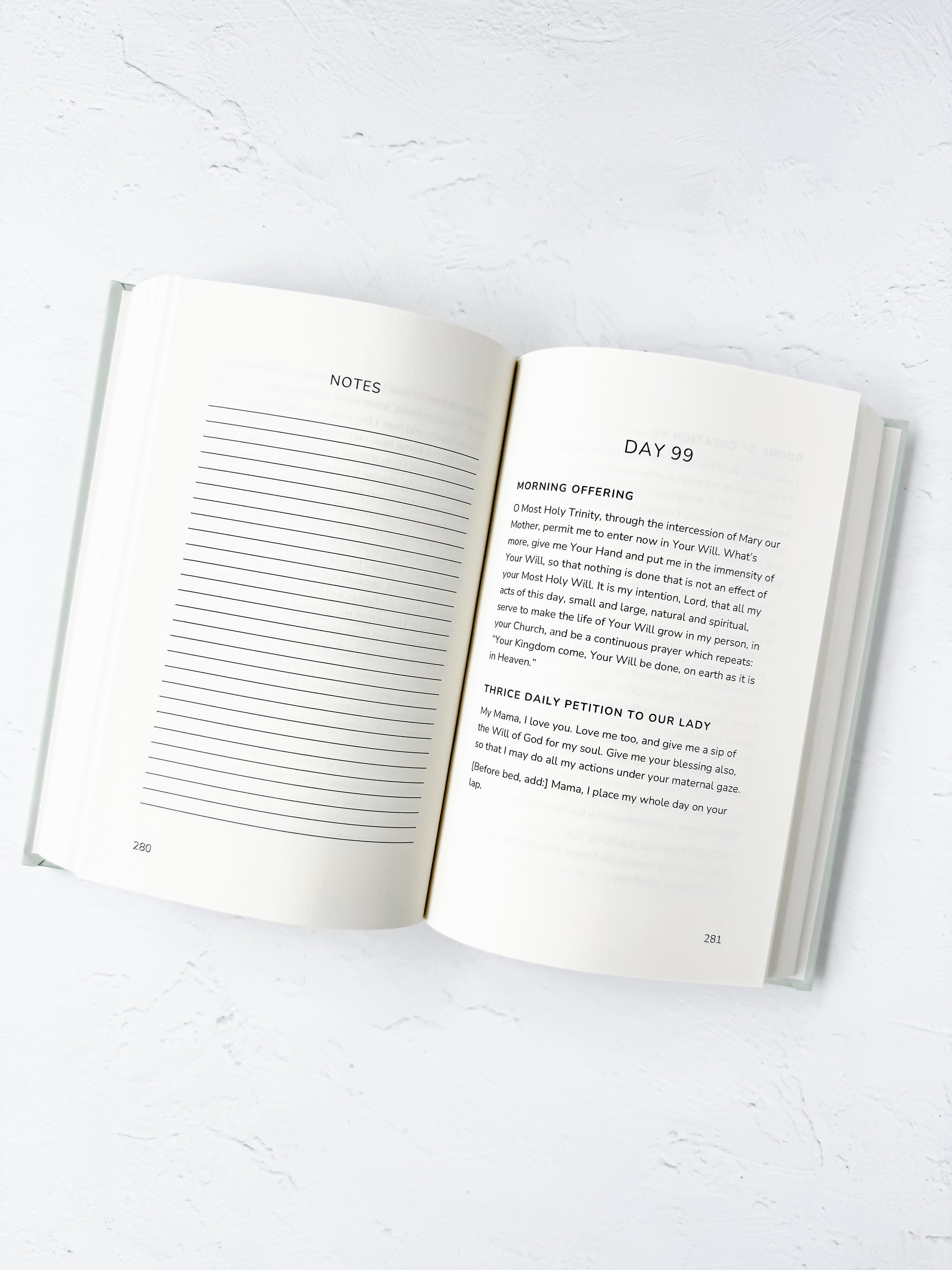 Divine Will Bootcamp: Book 3