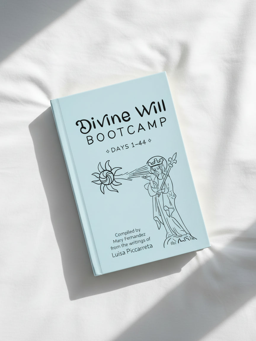 Divine Will Bootcamp: Book 1
