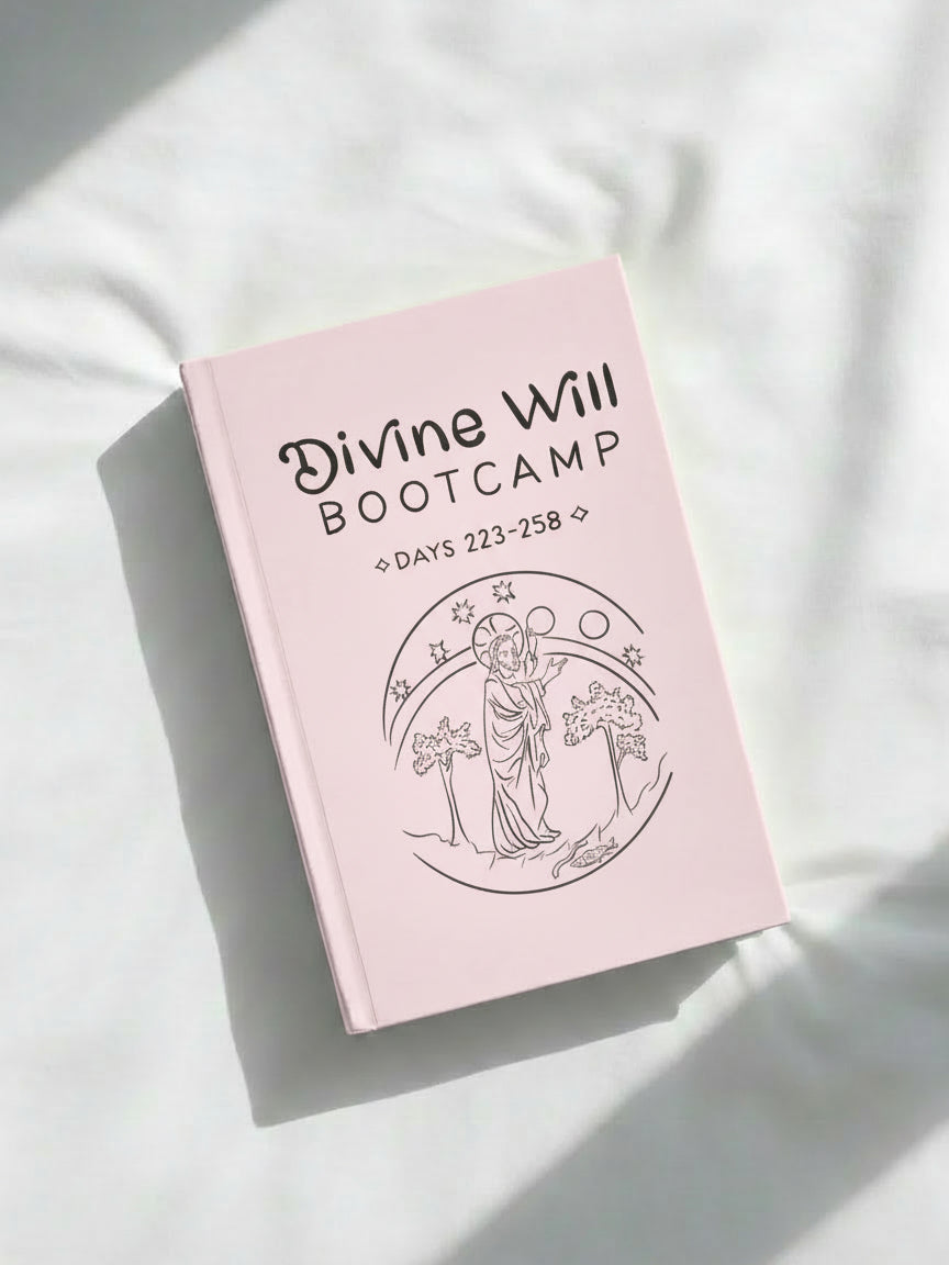 Divine Will Bootcamp: Book 7