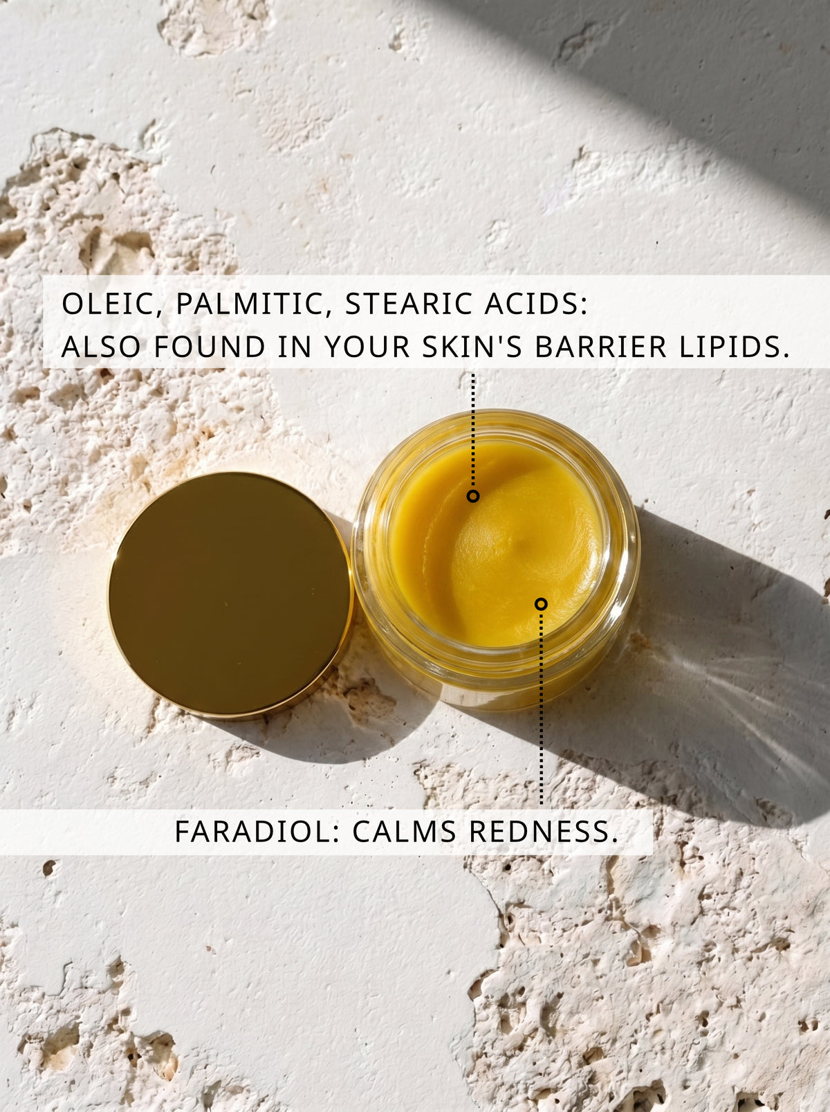 An open jar of Mary's Gold Calendula Tallow on sunlit stone, annotated with its oleic, palmitic and stearic acids and with faradiol, which calms redness.