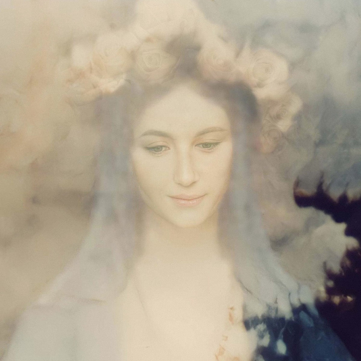 Miraculous Photograph Of The Blessed Virgin Mary