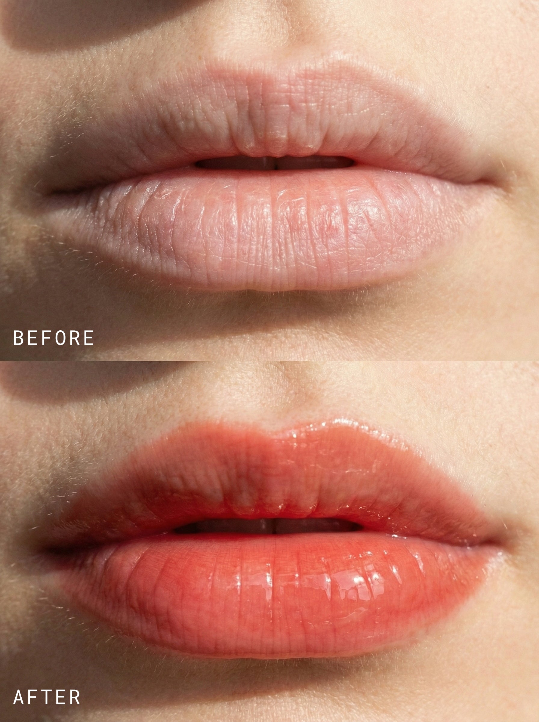 Rosa Botanical Lip Oil